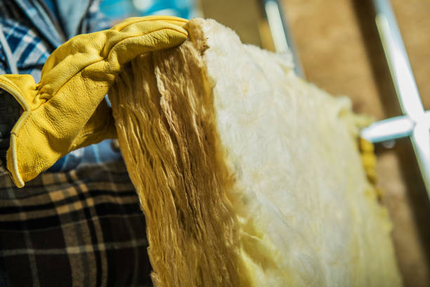 Best Cellulose Insulation in Eastover, NC