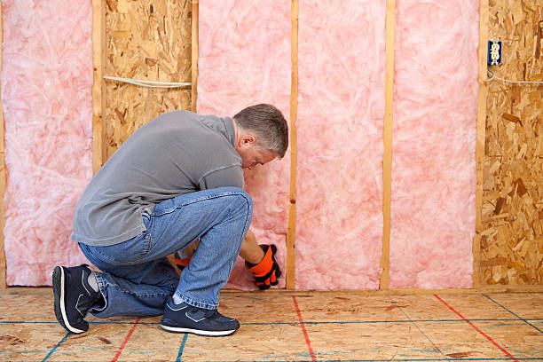 Best Specialized Insulation Services in Eastover, NC